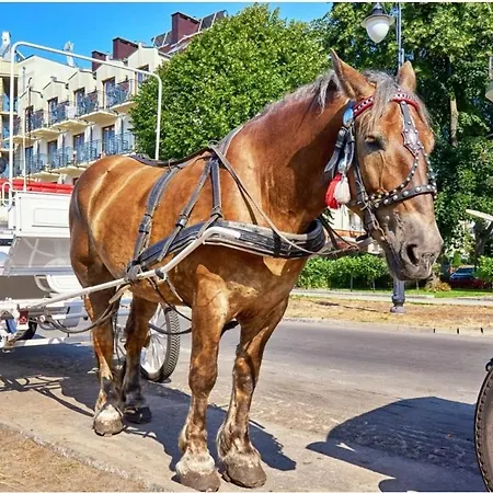 Ananda Bernstein * Świnoujście